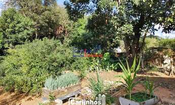 Imagem 6: Chácara com área total de 7.930m²