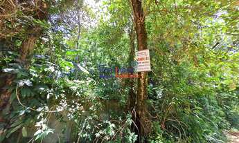 Imagem 2: Lotes em Francelinos com 360m²