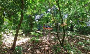 Imagem: Lotes em Francelinos com 360m²