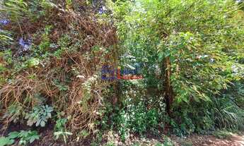 Imagem 5: Lotes em Francelinos com 360m²