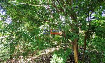 Imagem 6: Lotes em Francelinos com 360m²