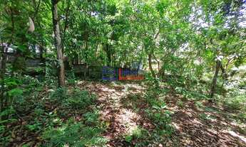 Imagem 7: Lotes em Francelinos com 360m²