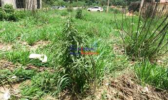 Imagem 6: Lote em Juatuba, com 360m²