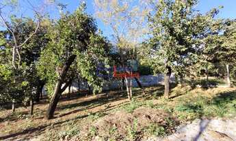 Imagem 7: Chácara no Parque Alvorada em Juatuba com 2.015m²! Excelente Oportunidade