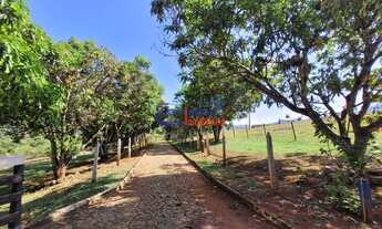 Imagem 3: Fazenda em Mateus Leme