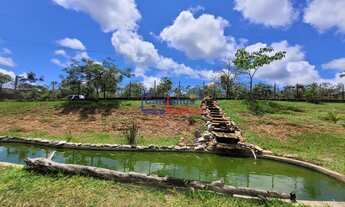 Imagem 7: Chácara em Mateus Leme com 20.010m² de área!