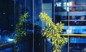 Imagem: Magnifico Apartamento com 2qts, 1 Suíte