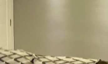 Imagem 7: Apartamento no bairro Taboão São Bernardo do Campo/SP