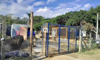 Imagem: Terreno à venda no bairro Lami - Porto