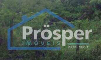 Imagem: Oportunidade Galpão na região Norte Joinville