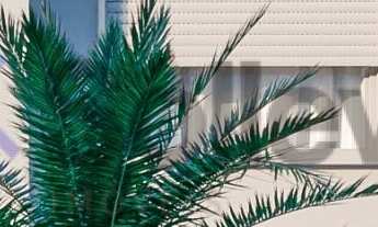 Imagem 6: Casa - Oásis Residence