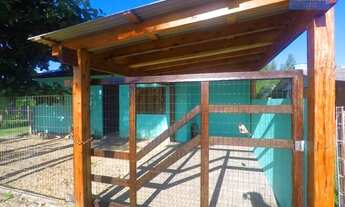 Imagem: Casa 2 dormitórios em Capão da Canoa