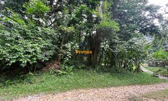 Imagem 6: LINDO TERRENO PARA SITIO