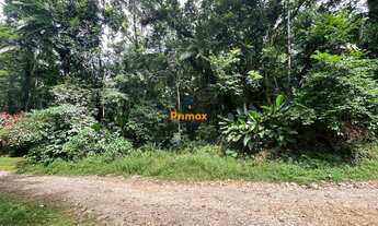 Imagem 3: LINDO TERRENO PARA SITIO