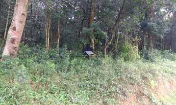 Imagem 2: Área à venda no bairro Barreirinho - Santo Antônio do Pinhal/SP