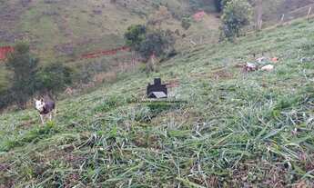 Imagem 3: Área à venda no bairro Barreirinho - Santo Antônio do Pinhal/SP