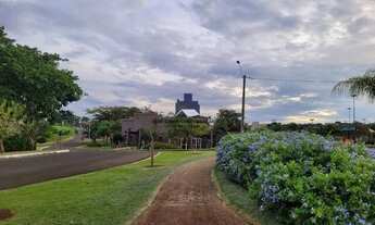 Imagem 4: Casa à venda no Condomínio Damha Fit II - Ipiguá/SP