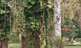 Imagem 6: Terreno em Loteamento, com pousada