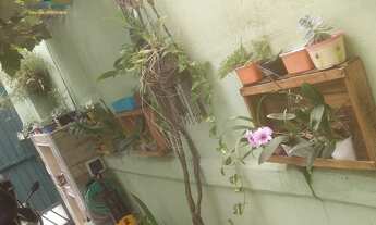 Imagem 2: Casa à venda no bairro Planalto Paulista - São Paulo/SP, Zona Sul