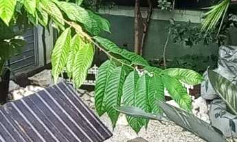 Imagem: Casa à venda no bairro Planalto Paulista