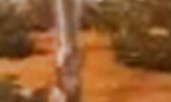 Imagem 2: Apartamento à venda no bairro Indianópolis - São Paulo/SP, Zona Sul