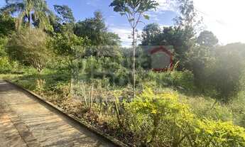 Imagem 6: Sítio à venda em Taubaté/SP