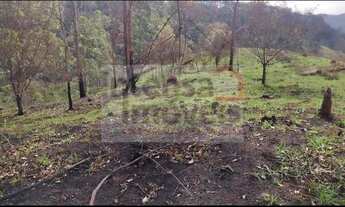Imagem 4: Terreno à venda no bairro Registro - Taubaté/SP