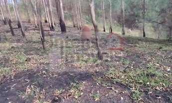 Imagem 6: Terreno à venda no bairro Registro - Taubaté/SP