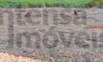 Imagem 4: Terreno à venda no bairro Jardim Julieta - Taubaté/SP