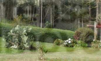 Imagem: Sítio à venda no bairro Centro - Cunha/SP