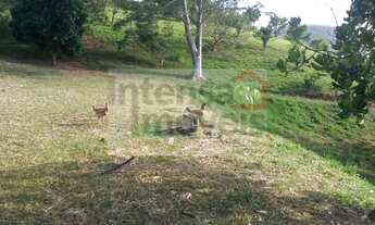 Imagem 3: Terreno à venda no bairro Registro - Taubaté/SP