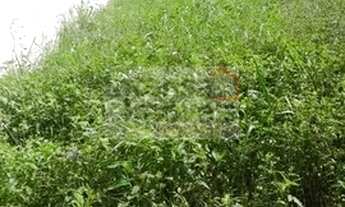 Imagem: Terreno à venda no bairro Jardim Hípica