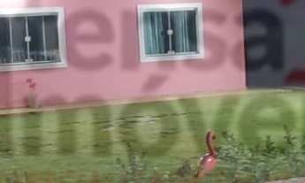 Imagem 2: Chácara à venda no bairro Vila Favorino - Caçapava/SP