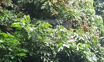 Imagem 5: Chácara à venda no bairro Ribeirão Grande - Pindamonhangaba/SP