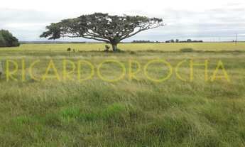 Imagem: Fazenda em Viamão 345 Hectares