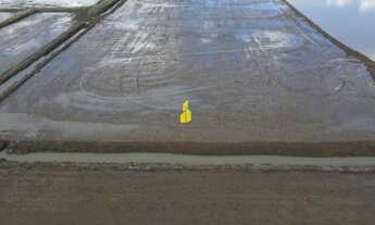 Imagem: Terreno à venda no bairro Ribeirão São