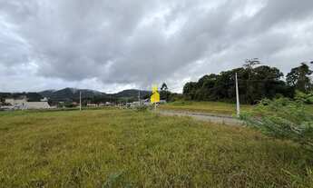 Imagem 7: Lotes 27 e 28 disponíveis no bairro Quintino Alfablu 80