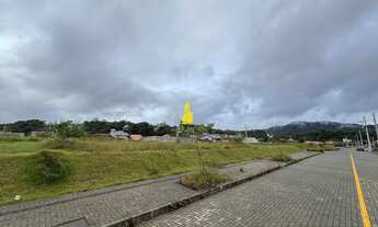 Imagem: Lotes 27 e 28 disponíveis no bairro Quintino