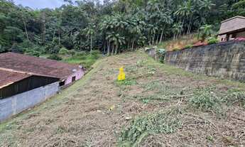 Imagem: Terreno à venda no bairro Centro - Benedito