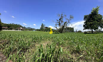 Imagem 2: Terreno no Bairro das Nações