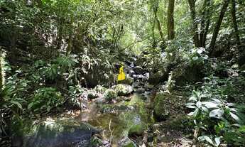 Imagem: Terreno à venda no bairro Santa Maria
