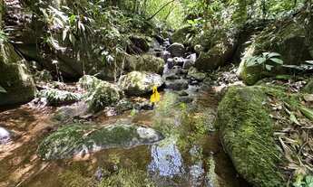 Imagem 2: Terreno à venda no bairro Santa Maria - Benedito Novo/SC