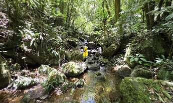 Imagem 3: Terreno à venda no bairro Santa Maria - Benedito Novo/SC