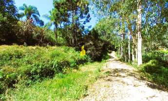 Imagem 3: Sítio bairro Santa Maria - Benedito Novo - SC