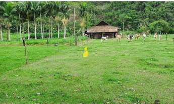 Imagem 2: LINDO SÍTIO EM ÁREA INDUSTRIALNA CIDADE DE APIUNA SC