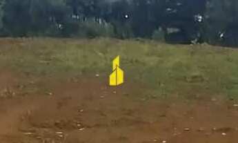 Imagem: Terreno em Doutor Pedrinho