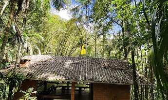 Imagem 3: ???? SÍTIO À VENDA – BENEDITO NOVO/SC