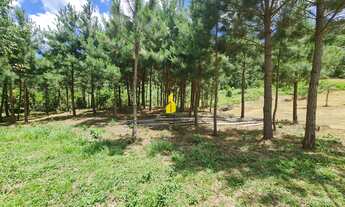 Imagem 6: Sítio à Venda em Benedito Novo - Um Refúgio de Tranquilidade e Beleza