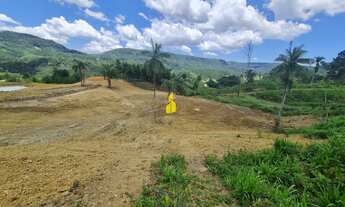 Imagem 7: Sítio à Venda em Benedito Novo - Um Refúgio de Tranquilidade e Beleza