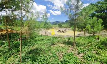 Imagem 5: Sítio à Venda em Benedito Novo - Um Refúgio de Tranquilidade e Beleza